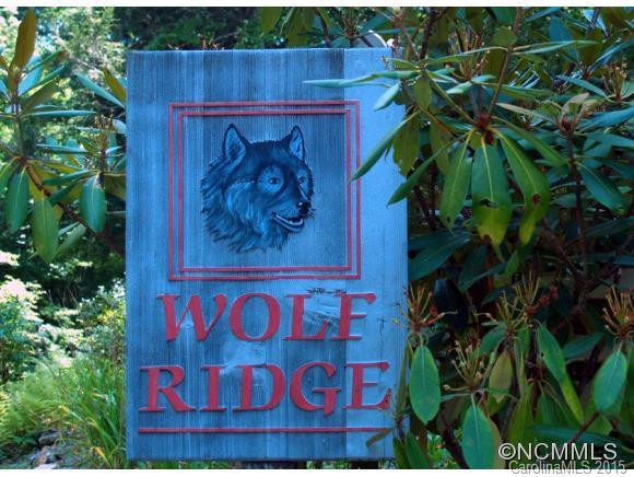 208 Wolf Ridge Road - Photo 24