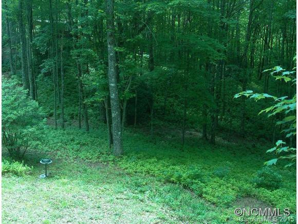 208 Wolf Ridge Road - Photo 8