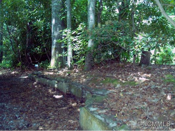 208 Wolf Ridge Road - Photo 10