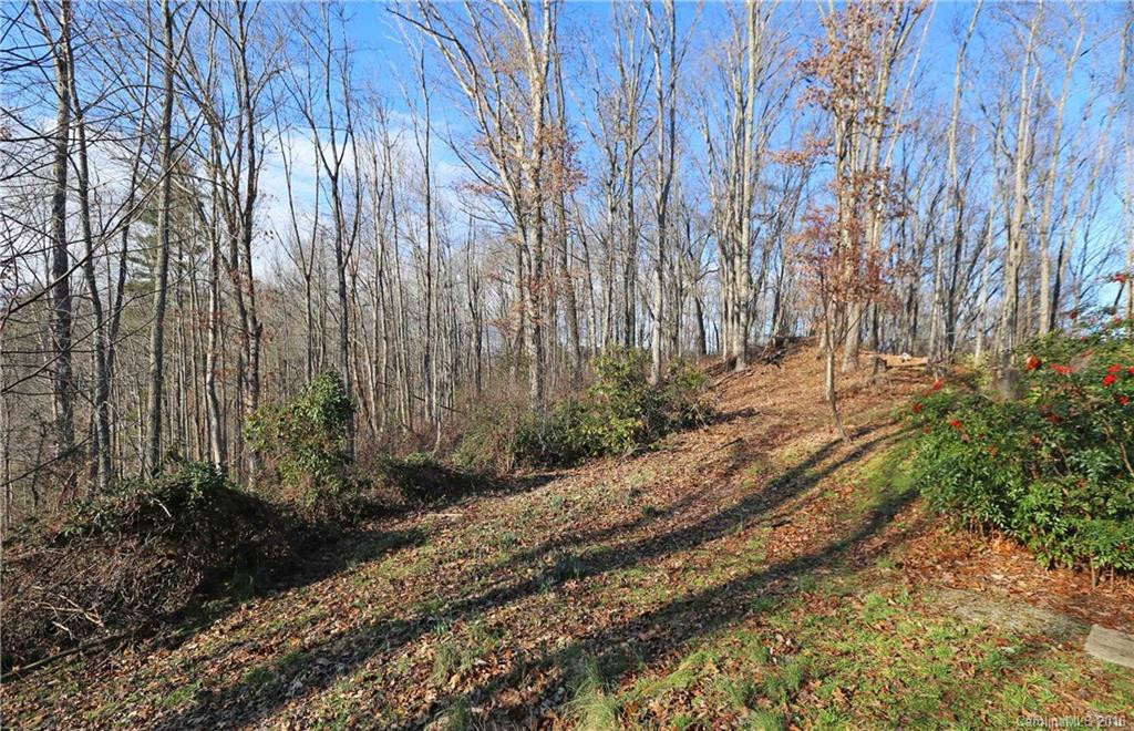 435 Clemson Road - Photo 4