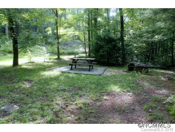 256 Mountain Laurel Drive - Photo 5