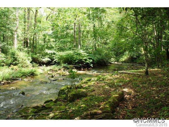 2699 Pearson Falls Road - Photo 3