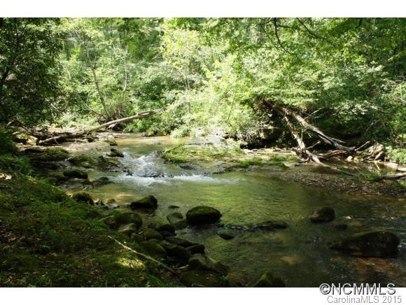 2699 Pearson Falls Road - Photo 4