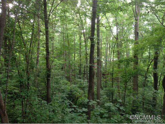65 Foxberry Drive - Photo 22
