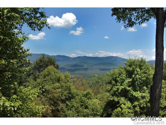 115 Hickory Nut Cove Road - Photo 23
