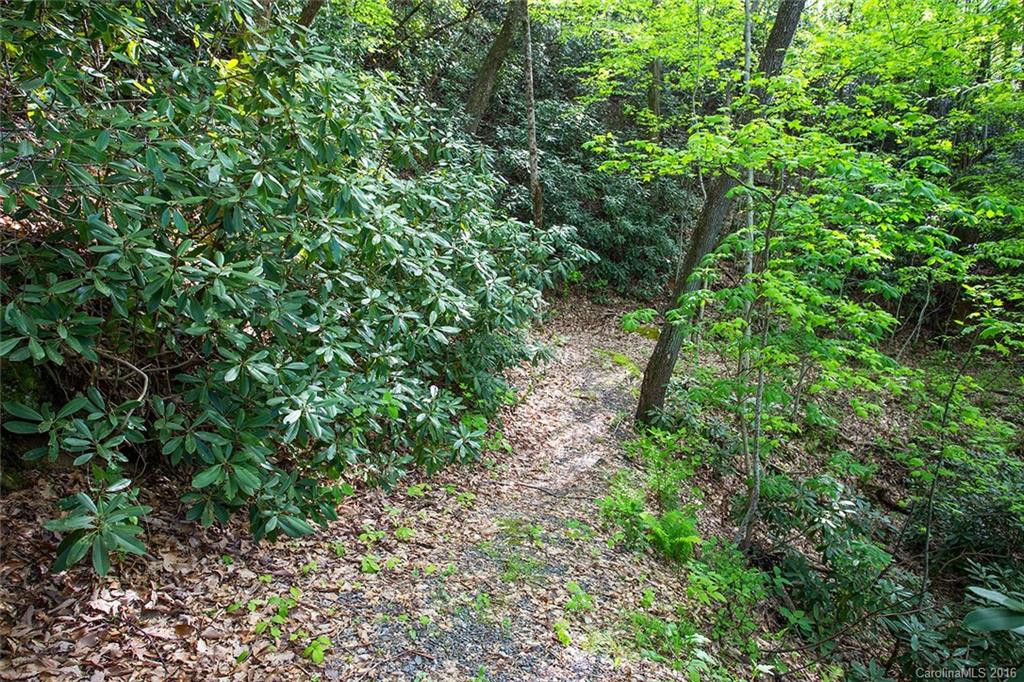 115 Hickory Nut Cove Road - Photo 24