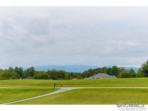 41 Almond Branch Drive - Photo 4