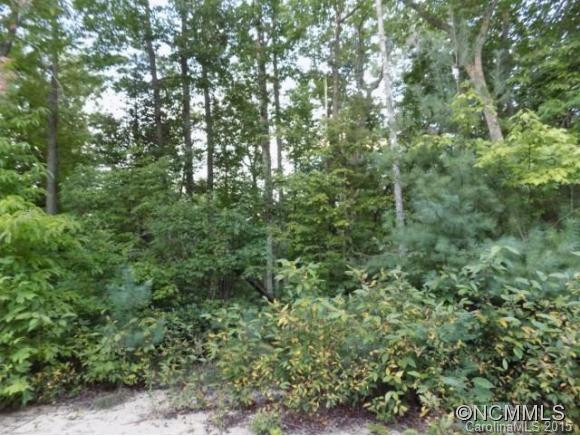 1013 Old Mountain Page Road - Photo 16