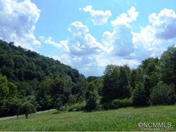 215 GREEN MEADOW LANE - Photo 2
