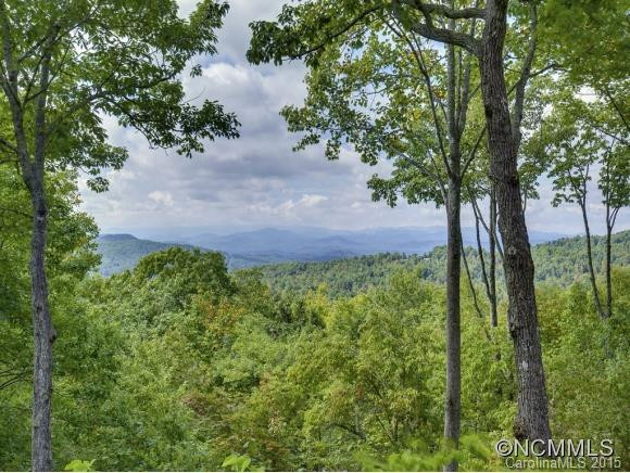 75 POPLAR FOREST TRACE - Photo 22