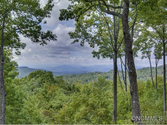 75 POPLAR FOREST TRACE - Photo 23