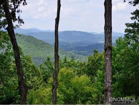 1547 HICKORY WOOD TRAIL - Photo 20