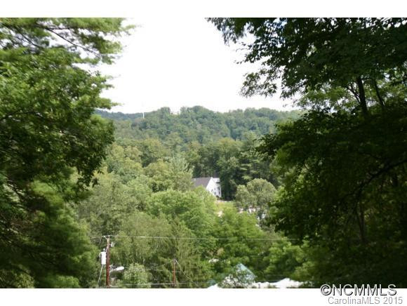 32 Lower Bat Cave Drive - Photo 3