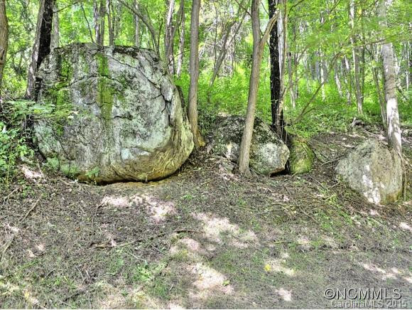 4580 BEAVERDAM ROAD - Photo 18