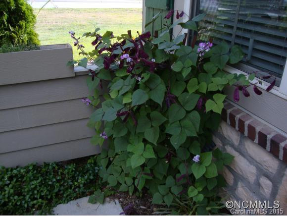 175 Summerfield Pl - Photo 16