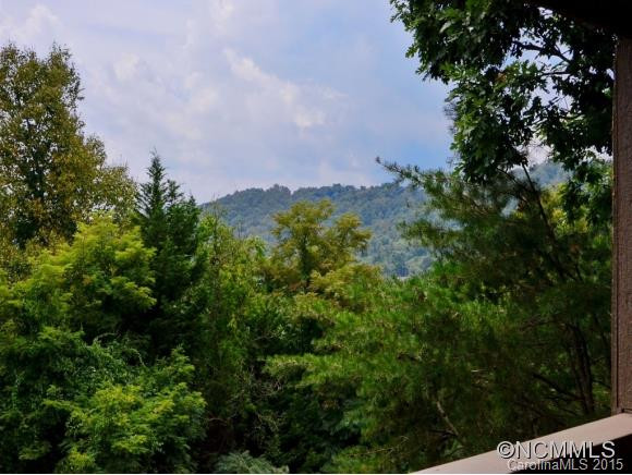 305 PINEY MOUNTAIN, D-4 - Photo 2