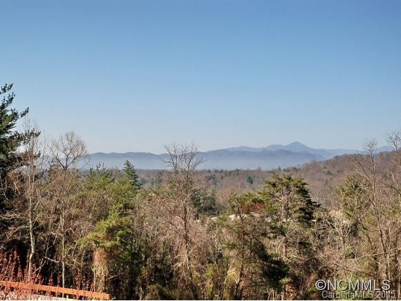 305 PINEY MOUNTAIN, D-4 - Photo 13