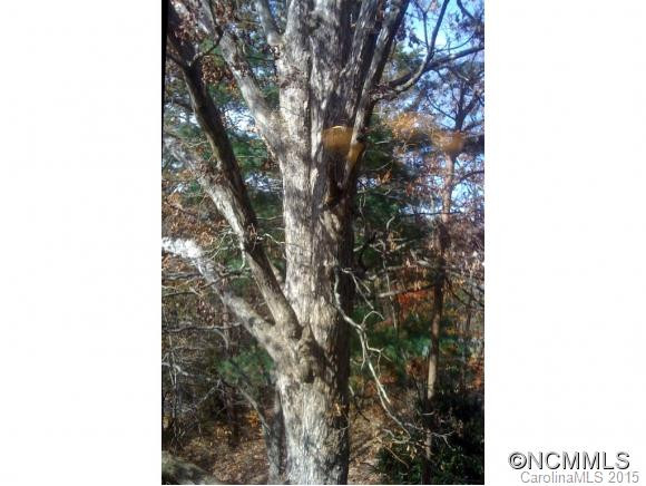 305 PINEY MOUNTAIN, D-4 - Photo 18