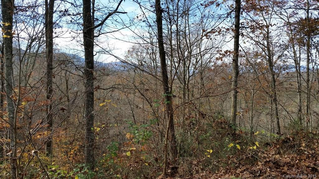 295 Daffodil Lane - Photo 3