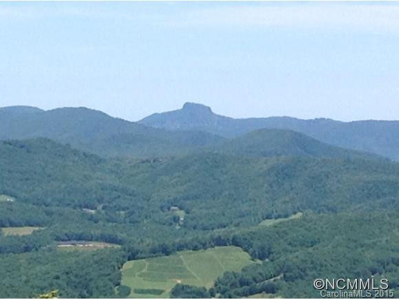 561 RICH KNOB ROAD - Photo 3