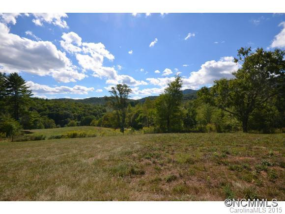 43 Pinnacle Pine Trail - Photo 3