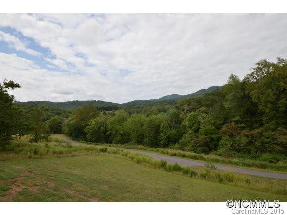 43 Pinnacle Pine Trail - Photo 23