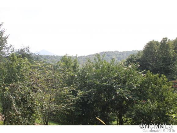 66 Lemon Creek Drive - Photo 2