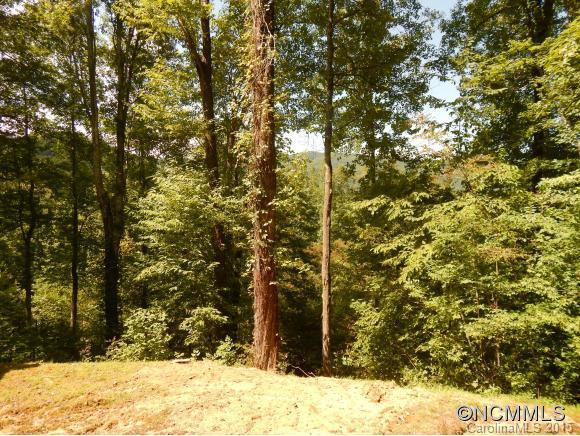 49 Hopalong Trace - Photo 16
