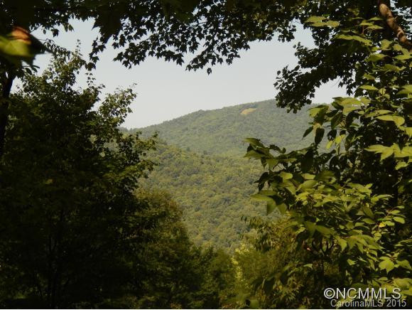 49 Hopalong Trace - Photo 17
