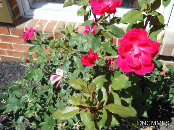 201 Crooked Creek Road - Photo 15