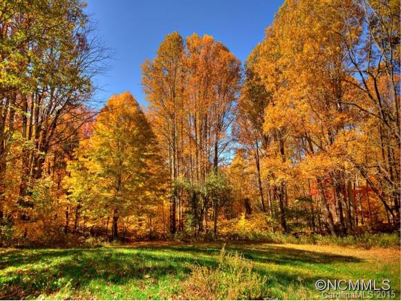 795 Spring Brook Farms Road - Photo 24