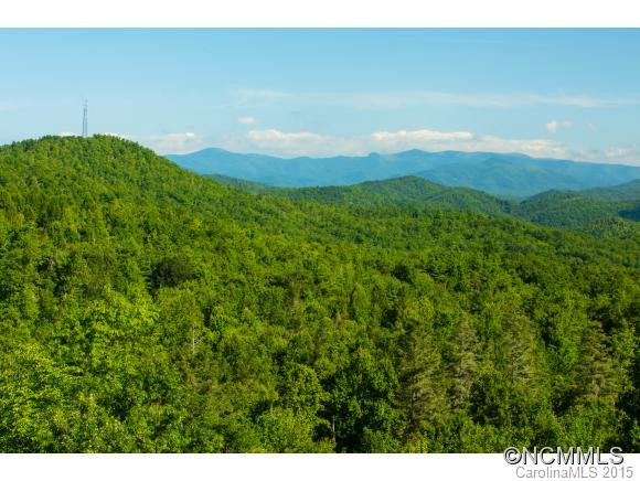 259 Blue Ridge Overlook Drive - Photo 11