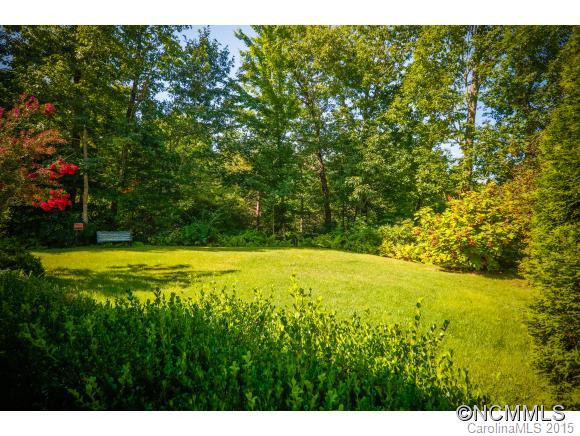 259 Blue Ridge Overlook Drive - Photo 24