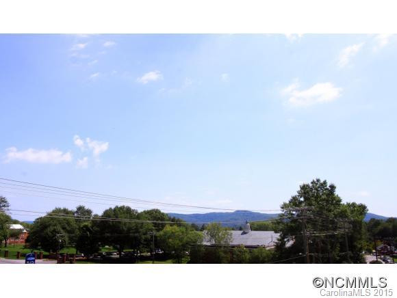 29 West French Broad St, Unit 316 - Photo 15