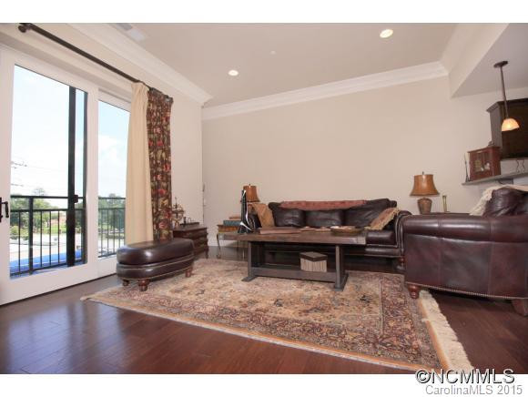 29 West French Broad St, Unit 316 - Photo 3