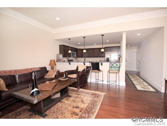 29 West French Broad St, Unit 316 - Photo 4