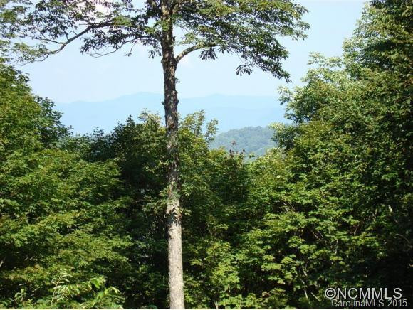 1262 McKinney Gap Road #405 - Photo 2