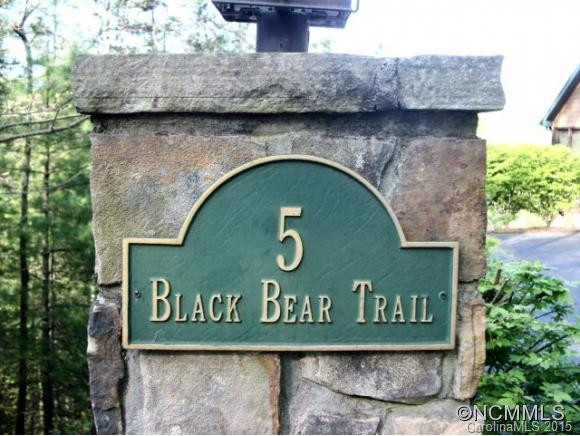 5 Black Bear Trail - Photo 3