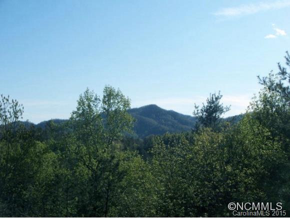 5 Black Bear Trail - Photo 24