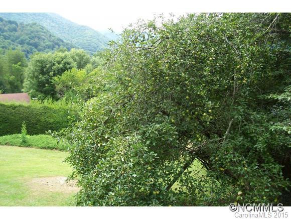 101 Starlight Lane - Photo 10