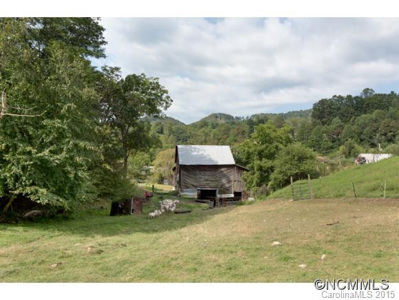 3808 Walnut Creek Road - Photo 11