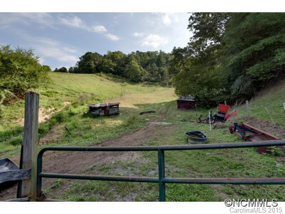 3808 Walnut Creek Road - Photo 3