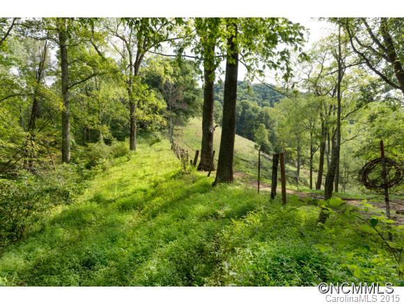 3808 Walnut Creek Road - Photo 4