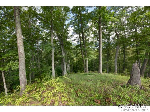 3808 Walnut Creek Road - Photo 5