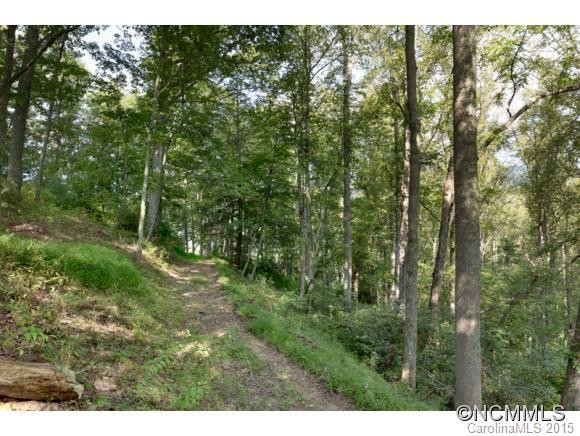3808 Walnut Creek Road - Photo 6
