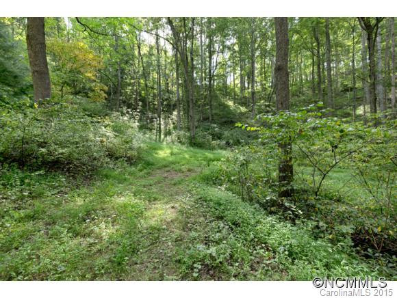 3808 Walnut Creek Road - Photo 7
