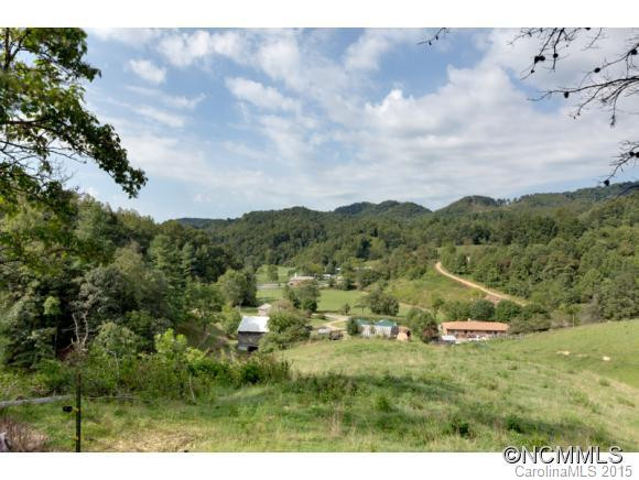 3808 Walnut Creek Road - Photo 8