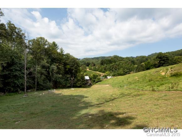 3808 Walnut Creek Road - Photo 10