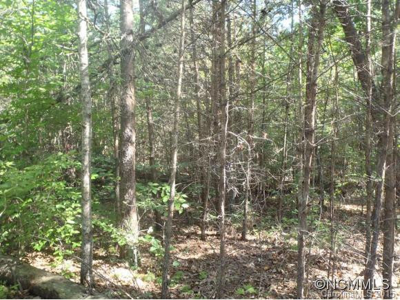 1125 Padgett Road - Photo 9