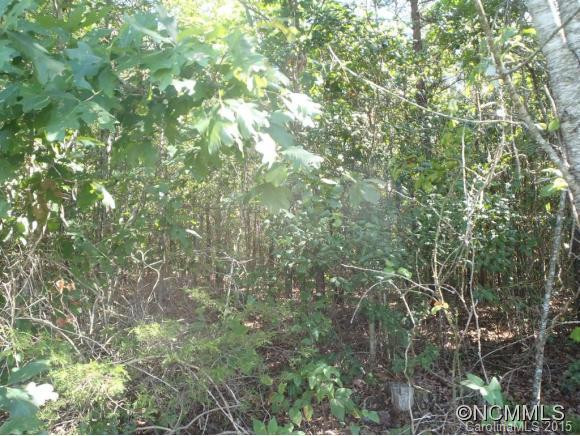 1125 Padgett Road - Photo 10